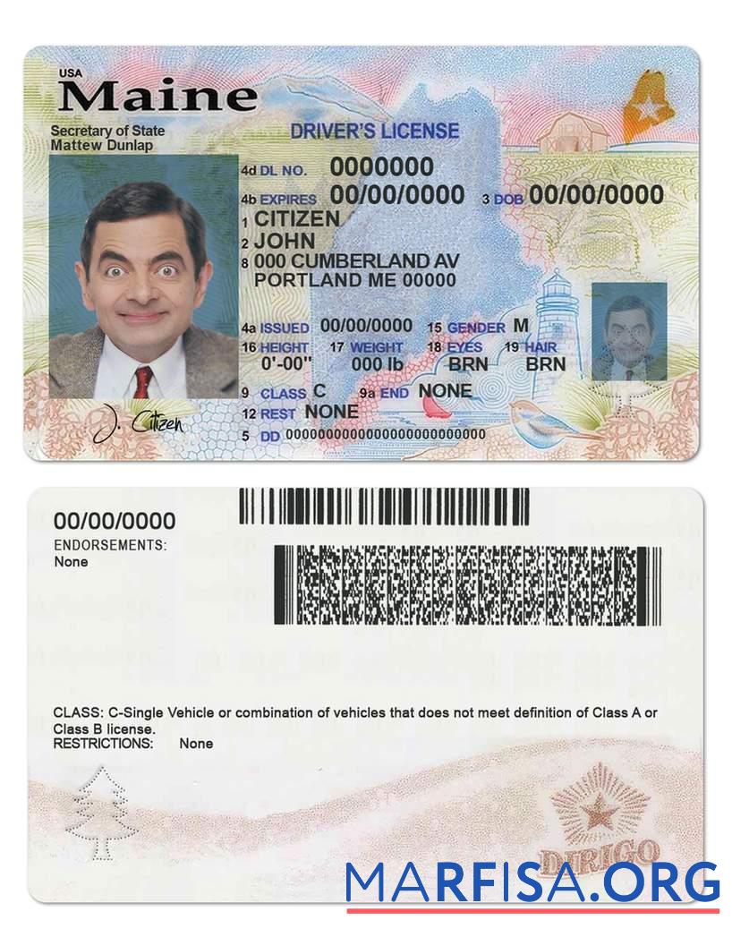 Printable USA Maine state driving license (2019 – present) download for verification
